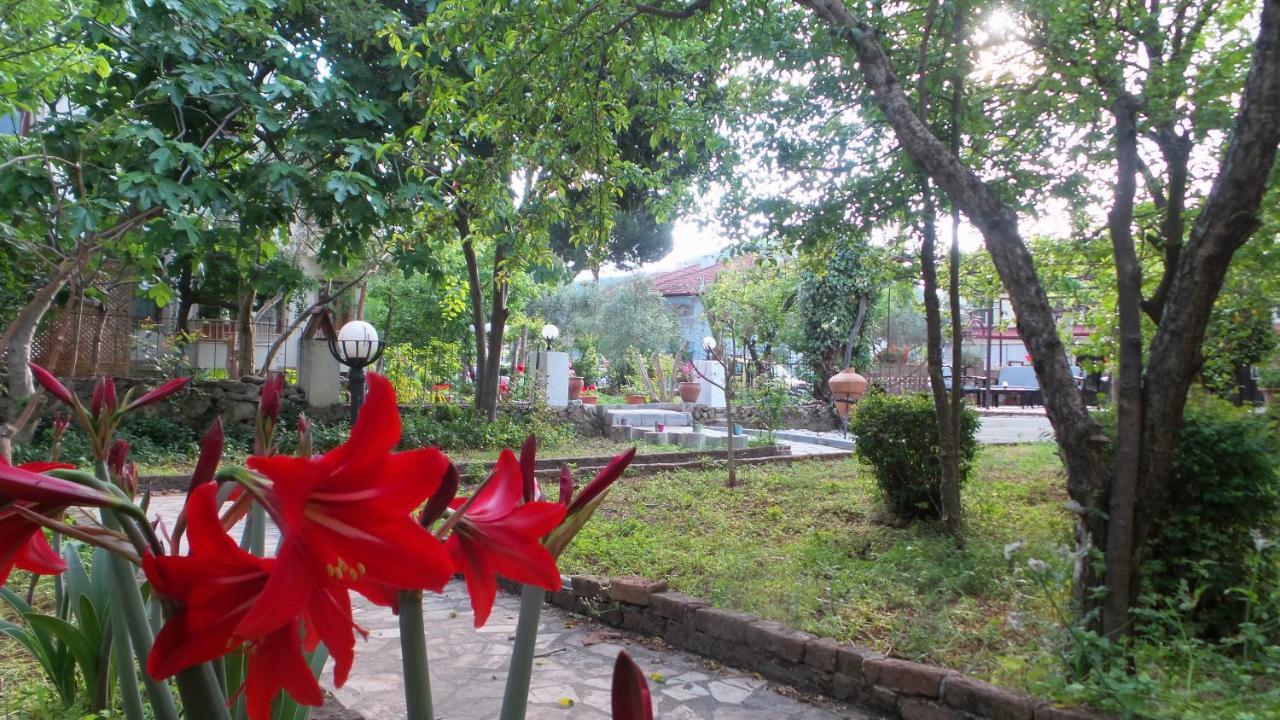 Native Hotel Ovacık Exteriör bild